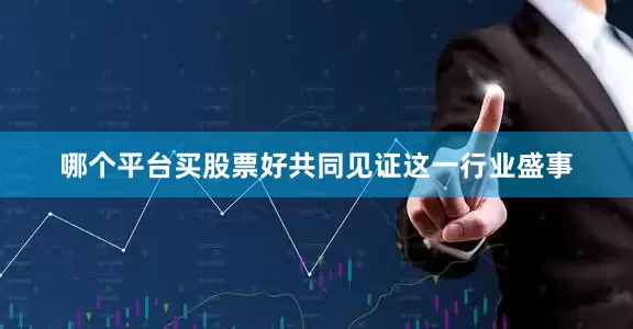 哪个平台买股票好共同见证这一行业盛事